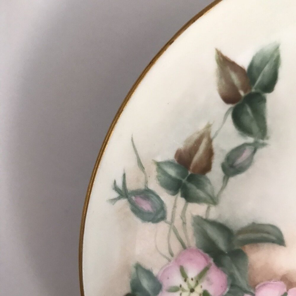 Hand Painted Morning Glory Plate Art by Honey Lee Limoges France Gold Rim G.A.H. - Picture 9 of 11